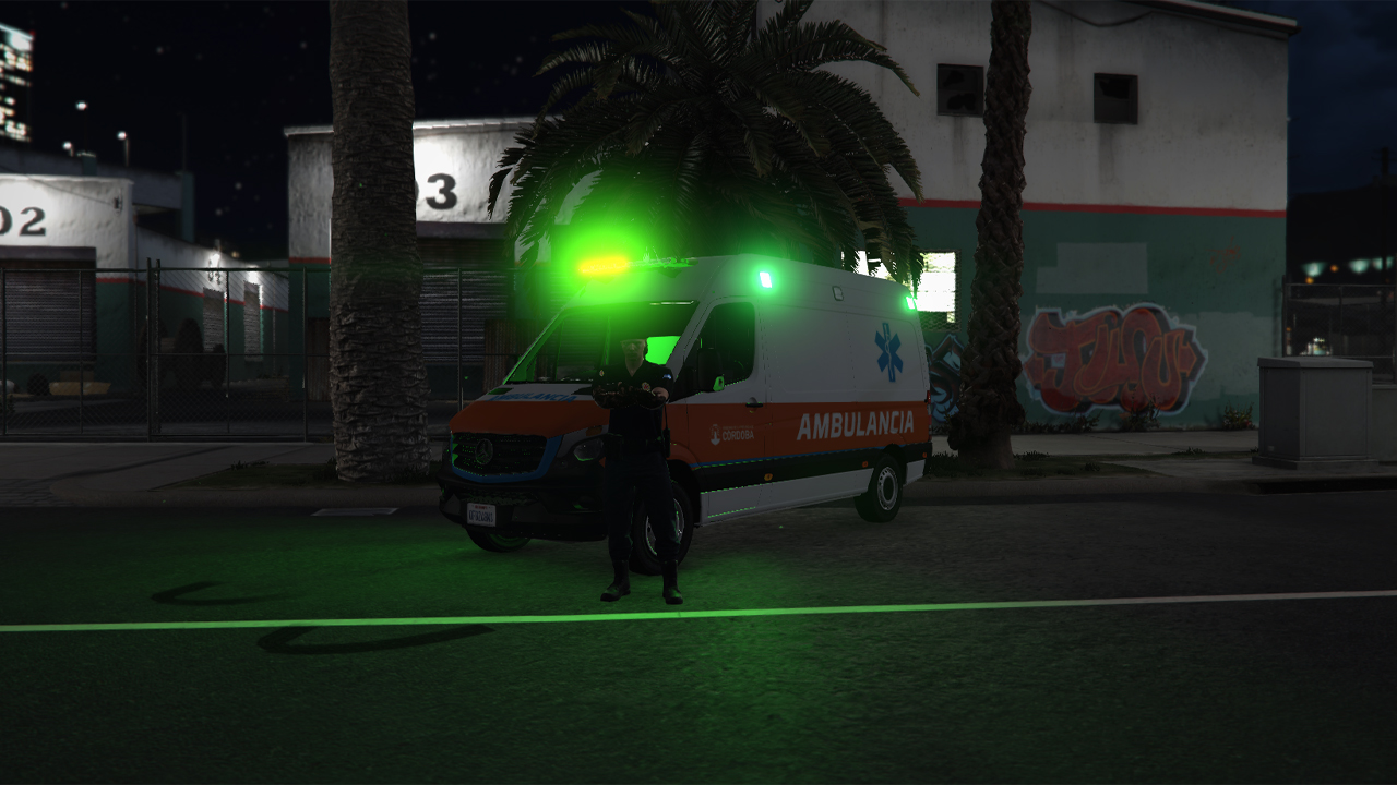 Captura del servidor